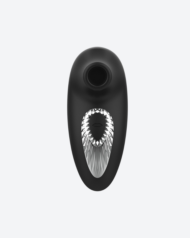 Aspirateur DRAKE BLACK&SILVER