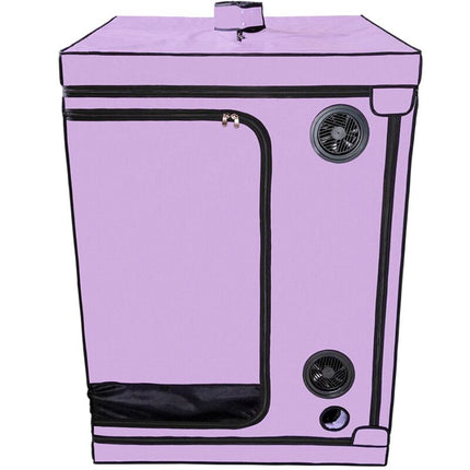 SECRET DOME - KINK CLUB CABINE SCANDALE PURPLE